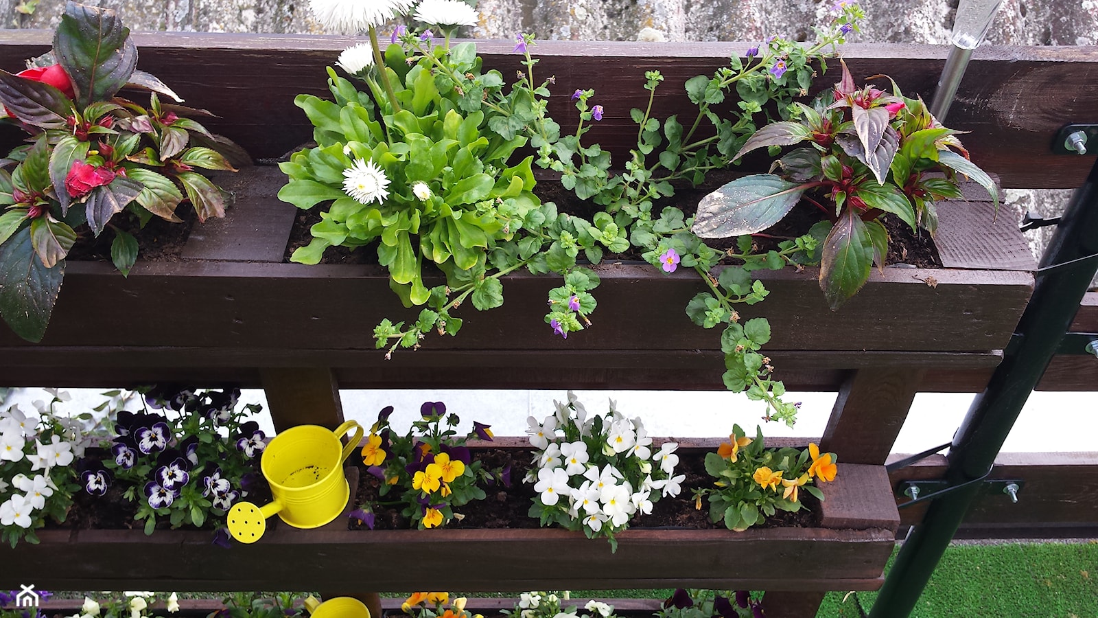 Ciasne ale własne i tanim kosztem - Średni z donicami na kwiaty taras z przodu domu z tyłu domu - zdjęcie od Ejwi - Homebook