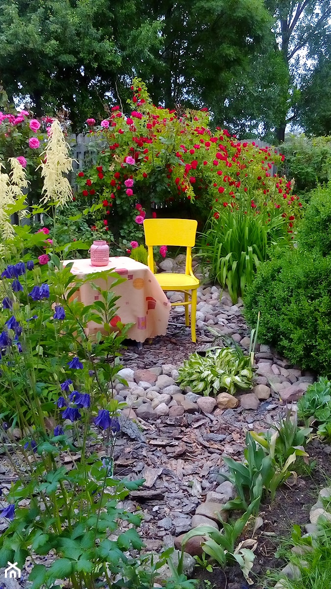 Moje Rajskie Zacisze - Ogród, styl tradycyjny - zdjęcie od Joanna Świątek 2
