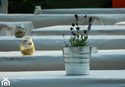 Pachnący minimalizm - zdjęcie od Travo