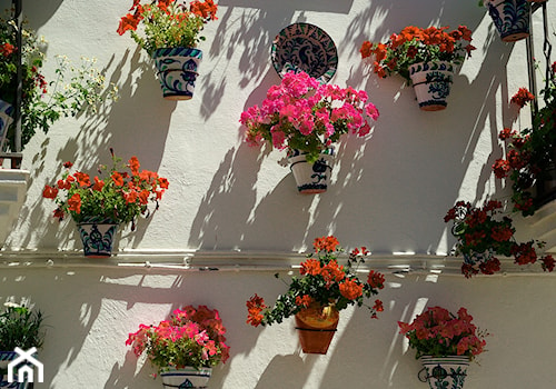 Kwiatowa ściana - zdjęcie od Travo