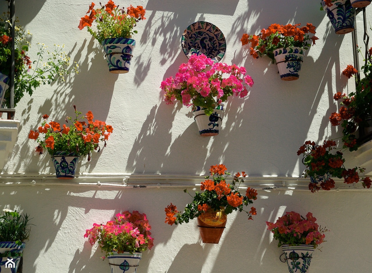 Kwiatowa ściana - zdjęcie od Travo - Homebook