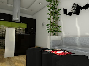 Kuchnia z salonikiem w małym mieszkaniu - zdjęcie od Kamila Ratajczyk. INterior Design. Aranżacja, Projektowanie wnętrz.