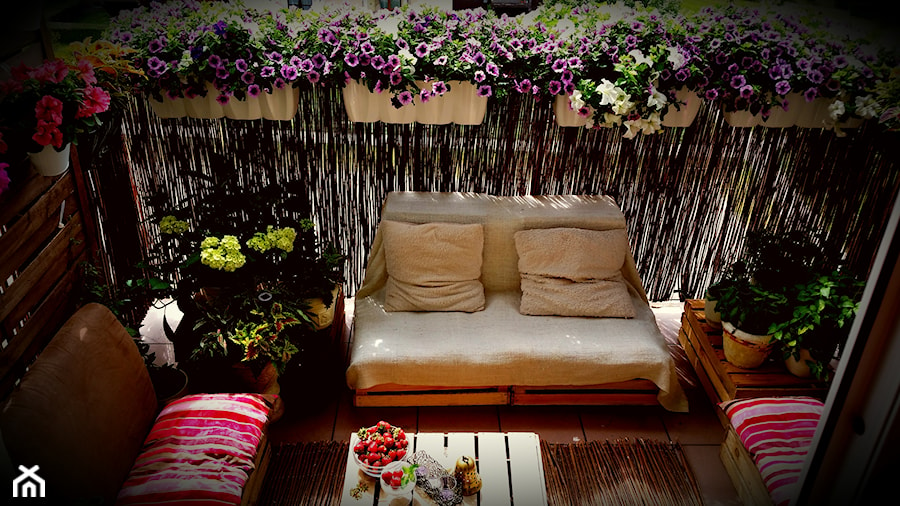 Średni z donicami na kwiaty z meblami z palet taras z tyłu domu - zdjęcie od Basienka