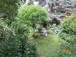 zielony z kotem - Ogród - zdjęcie od Izabella Grenke