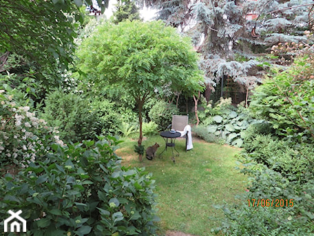 Aranżacje wnętrz - Ogród: zielony z kotem - Ogród - Izabella Grenke. Przeglądaj, dodawaj i zapisuj najlepsze zdjęcia, pomysły i inspiracje designerskie. W bazie mamy już prawie milion fotografii!