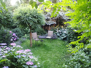 zielony z kotem - Średni ogród tropikalny za domem - zdjęcie od Izabella Grenke