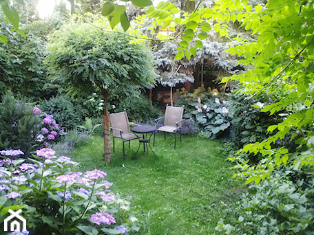 Aranżacje wnętrz - Ogród: zielony z kotem - Średni ogród tropikalny za domem - Izabella Grenke. Przeglądaj, dodawaj i zapisuj najlepsze zdjęcia, pomysły i inspiracje designerskie. W bazie mamy już prawie milion fotografii!