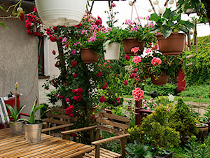 Kwietna pergola - Ogród, styl rustykalny - zdjęcie od Małgorzata Śleboda