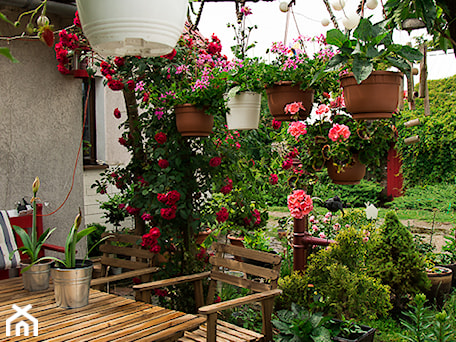 Aranżacje wnętrz - Ogród: Kwietna pergola - Ogród, styl rustykalny - Małgorzata Śleboda. Przeglądaj, dodawaj i zapisuj najlepsze zdjęcia, pomysły i inspiracje designerskie. W bazie mamy już prawie milion fotografii!