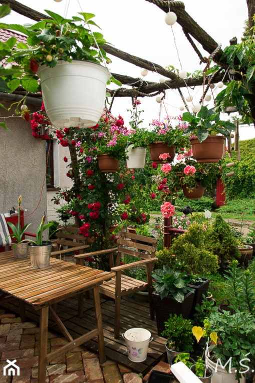 Kwietna pergola - Ogród, styl rustykalny - zdjęcie od Małgorzata Śleboda