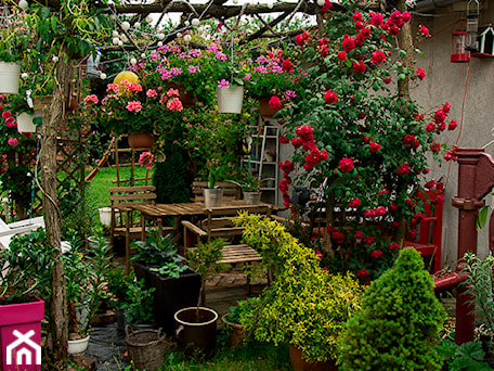 Aranżacje wnętrz - Ogród: pergola - Małgorzata Śleboda. Przeglądaj, dodawaj i zapisuj najlepsze zdjęcia, pomysły i inspiracje designerskie. W bazie mamy już prawie milion fotografii!