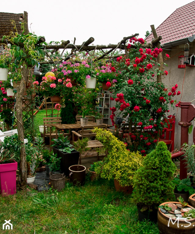 pergola - zdjęcie od Małgorzata Śleboda - Homebook