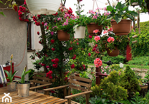 kwietna pergola - zdjęcie od Małgorzata Śleboda