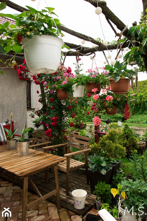 kwietna pergola - zdjęcie od Małgorzata Śleboda