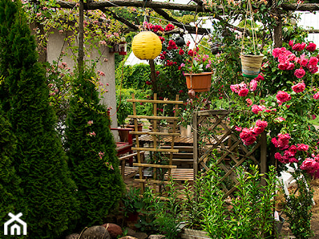 Aranżacje wnętrz - Ogród: kwietna pergola - Małgorzata Śleboda. Przeglądaj, dodawaj i zapisuj najlepsze zdjęcia, pomysły i inspiracje designerskie. W bazie mamy już prawie milion fotografii!