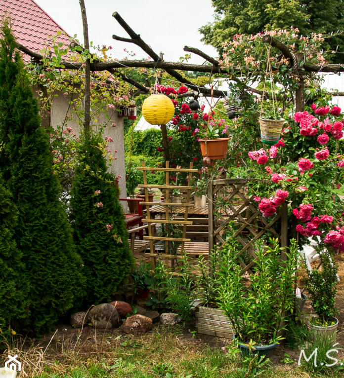 kwietna pergola - zdjęcie od Małgorzata Śleboda - Homebook