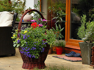 Średni z meblami ogrodowymi z donicami na kwiaty taras z tyłu domu - zdjęcie od metez