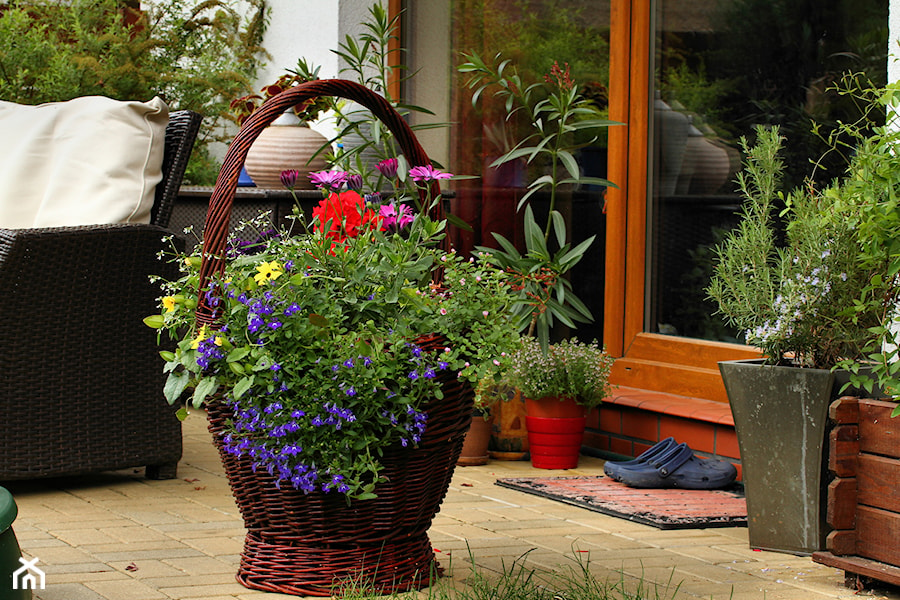 Strefa wypoczynku - Średni z meblami ogrodowymi z donicami na kwiaty taras z tyłu domu - zdjęcie od metez