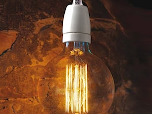 Ozdobna żarówka E27 40W MEGA Edison Danlamp z dekoracyjnym żarnikiem - zdjęcie od Pufa Design