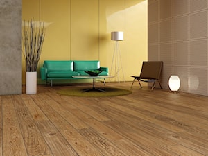 TIMELESS COLLECTION - Wnętrza publiczne - zdjęcie od Baltic Wood