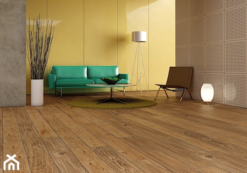 TIMELESS COLLECTION - Wnętrza publiczne - zdjęcie od Baltic Wood