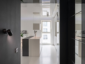 Mirror Apartment - Kuchnia - zdjęcie od Lasak Projektowanie