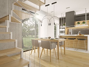 Kuchnia połączona z salonem - przegląd inspiracji - Jadalnia, styl nowoczesny - zdjęcie od Kameleon - Kreatywne Studio Projektowania Wnętrz