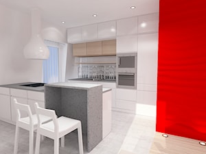 Apartament w Połczynie Zdroju - jasna kuchnia - zdjęcie od Kameleon - Kreatywne Studio Projektowania Wnętrz