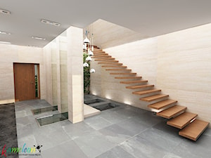 dom Moskwa - hol wejściowy - zdjęcie od Kameleon - Kreatywne Studio Projektowania Wnętrz