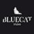 BlueCat Studio