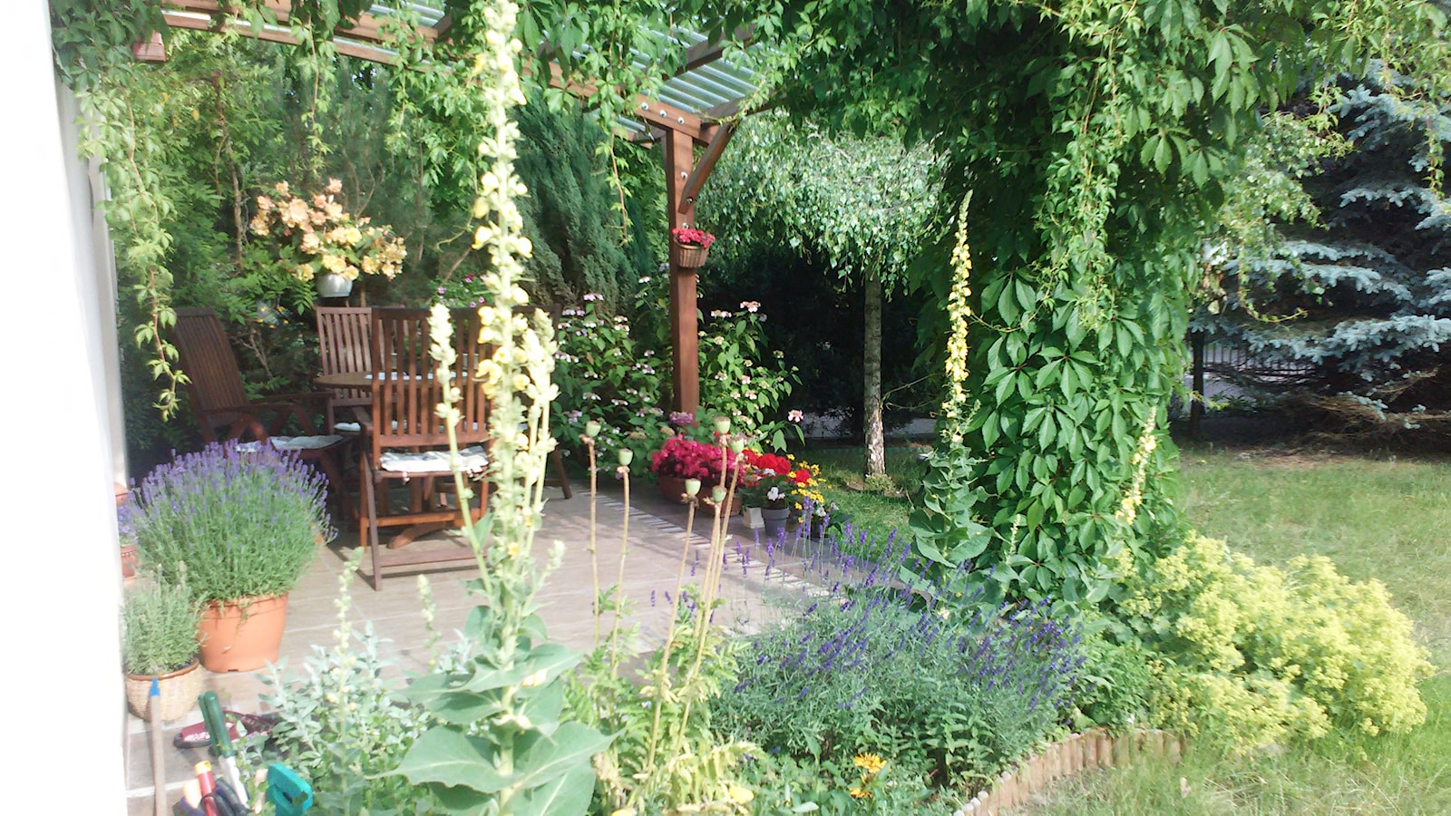 Kwiecisty taras - Mały z donicami na kwiaty taras z tyłu domu, styl tradycyjny - zdjęcie od urszulemanska - Homebook