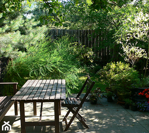 Modny ogród – sprawdź najnowsze trendy ogrodowe