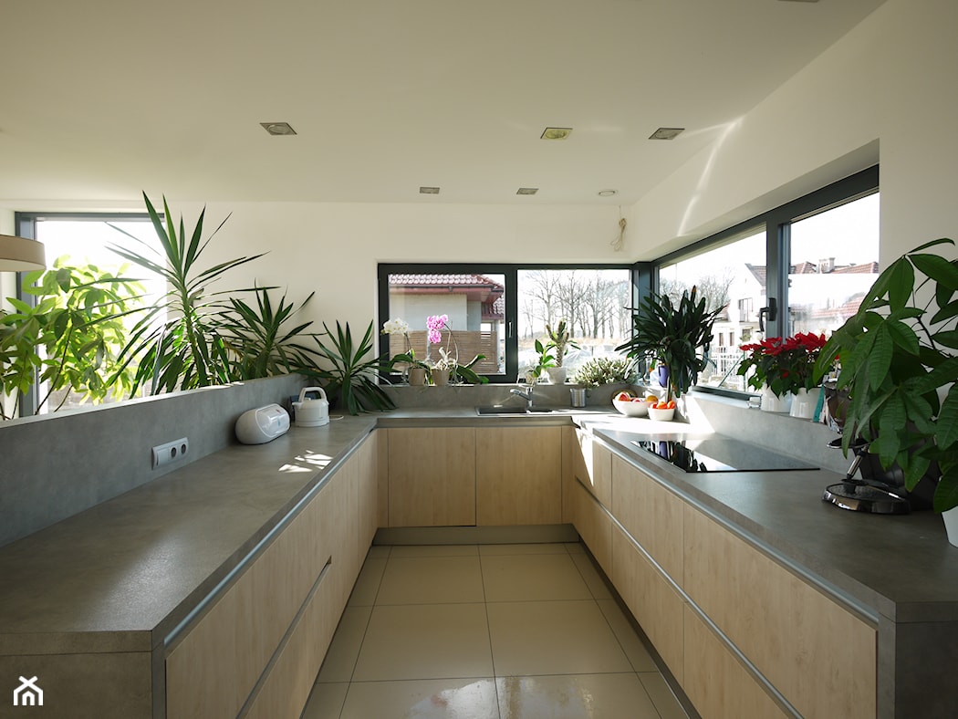 бетонный кухонный стол, цветы на кухне