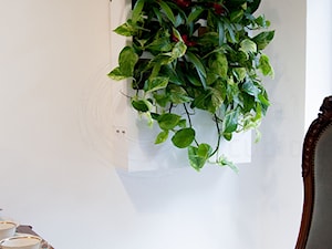 Panel roślinny. - zdjęcie od Green Spiral Studio