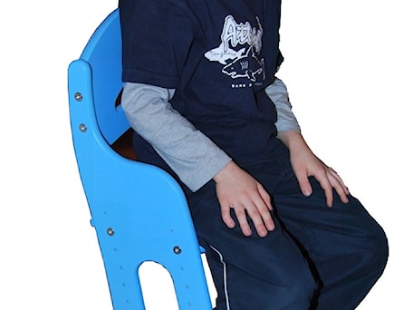 Aranżacje wnętrz - Pokój dziecka: Comfort Chair - BabyBest. Przeglądaj, dodawaj i zapisuj najlepsze zdjęcia, pomysły i inspiracje designerskie. W bazie mamy już prawie milion fotografii!