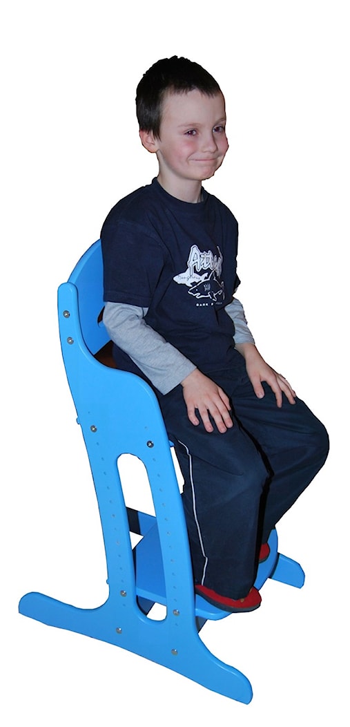 Comfort Chair - zdjęcie od BabyBest - Homebook