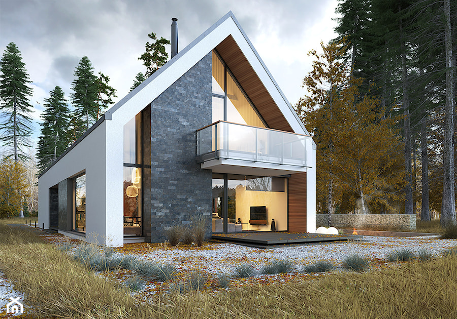 Projekt domu IDEALNY 1 | Domy z Wizją - zdjęcie od DOMY Z WIZJĄ - nowoczesne projekty domów