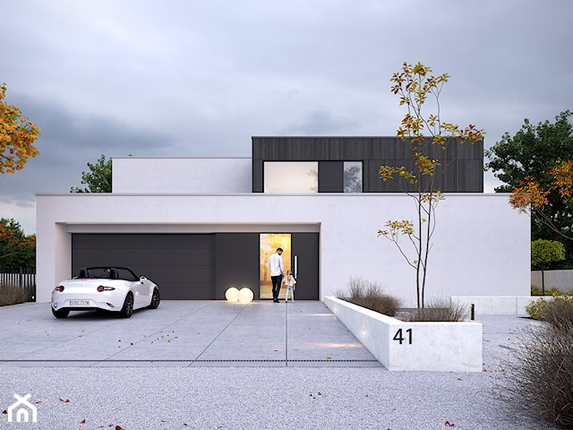 MODERN 1 - dom nowoczesny – projekt piętrowy z płaskim dachem