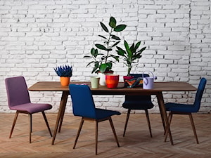 GAZZDA - stół i krzesła z kolekcji ENA - zdjęcie od DADO DESIGN