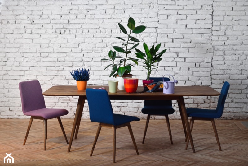 GAZZDA - stół i krzesła z kolekcji ENA - zdjęcie od DADO DESIGN - Homebook