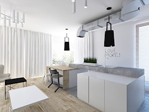 Mieszkanie 2+pies, 53m2 - Kuchnia, styl industrialny - zdjęcie od A+A