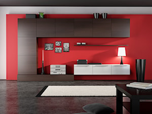 Meble modułowe - Duży czerwony salon, styl nowoczesny - zdjęcie od Or Design