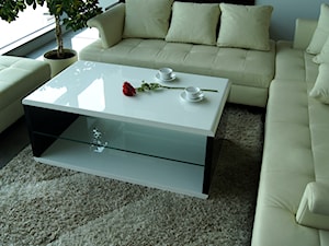 Ława, stolik kawowy BLACK&WHITE - Salon, styl nowoczesny - zdjęcie od designmebel