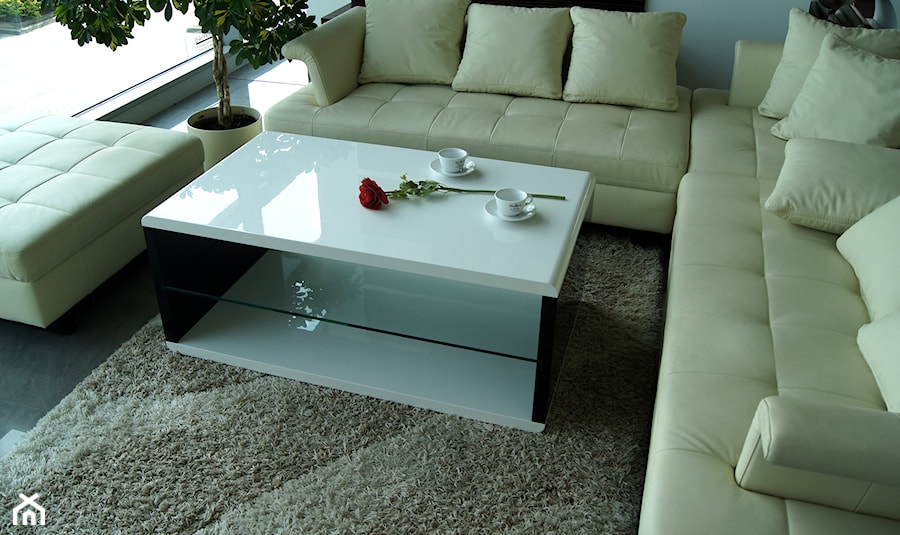 Ława, stolik kawowy BLACK&WHITE - Salon, styl nowoczesny - zdjęcie od designmebel