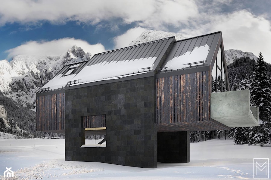 Wall-E nietypowy dom na podniesieniu - zdjęcie od Machoń Architekci