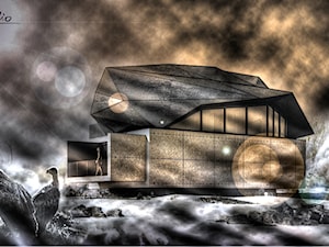BLACK ROCK HOUSE - zdjęcie od Machoń Architekci