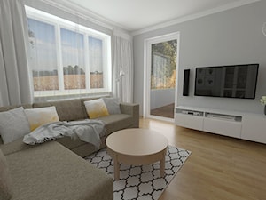 salon z aneksem 21 m2 - Mały szary salon - zdjęcie od white interior design