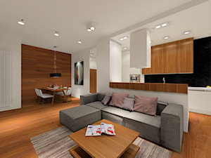 Nowoczesny projekt mieszkania - Salon, styl nowoczesny - zdjęcie od MKdezere
