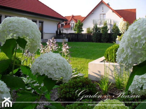 Ogród nowoczesny w Warszawie - zdjęcie od Garden & Pleasure - Architektura Krajobrazu i Sztuka Ogrodowa - Homebook