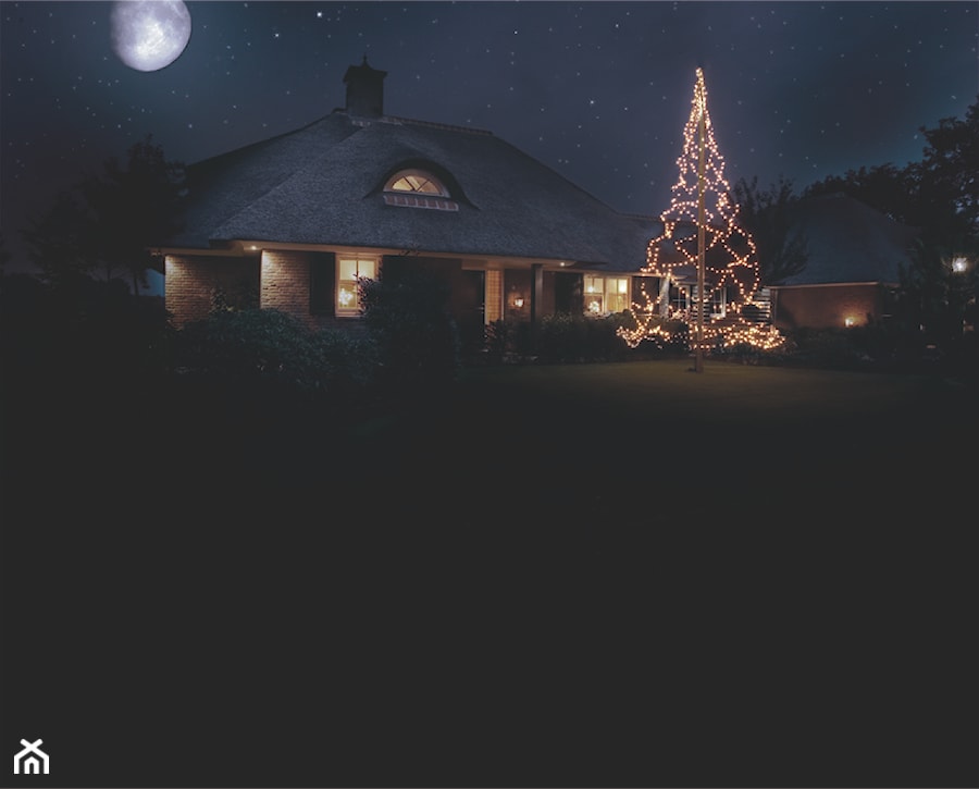 Christmas Tree 6m - 960 LEDs - zdjęcie od www.solarlighting.pl